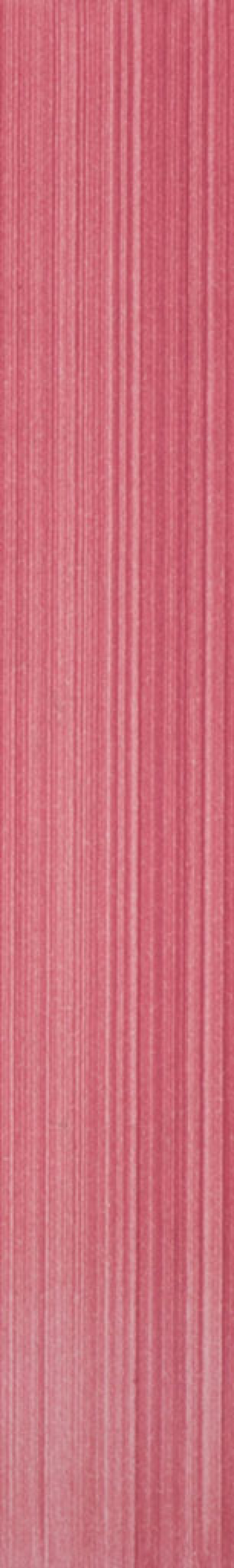 Rosa 7A
