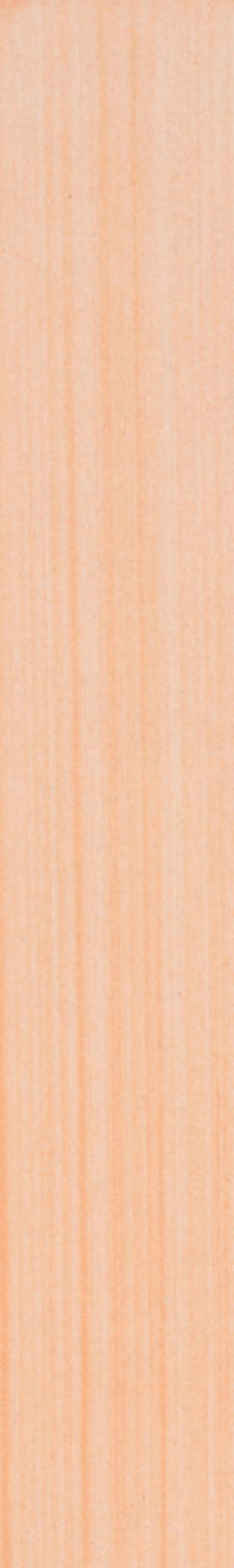 Salmone 309