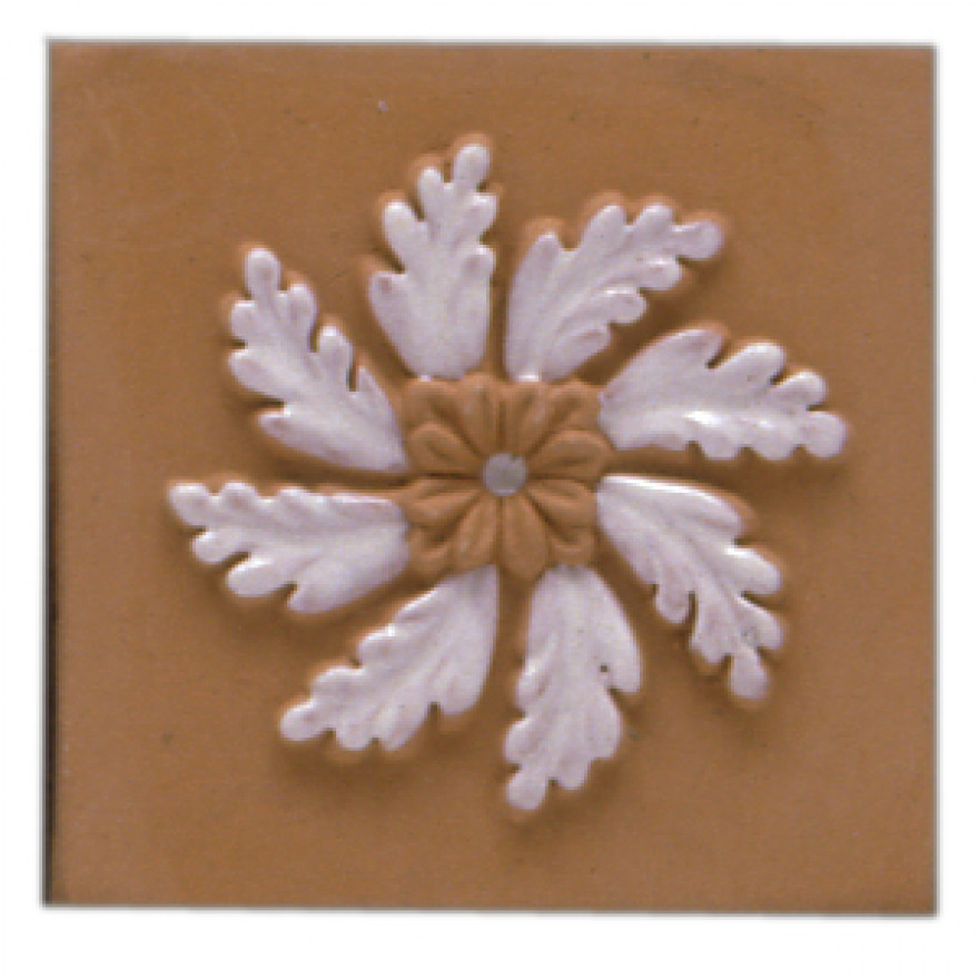 AAlcamo cotto ril. B.A