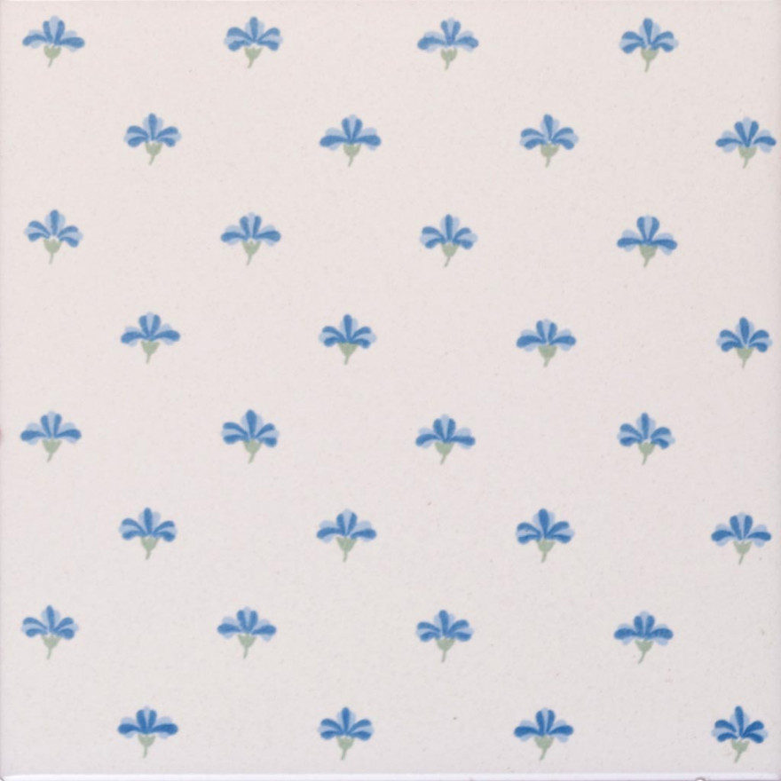 Ciclamino petite III - 300 / 300 chiaro / 130