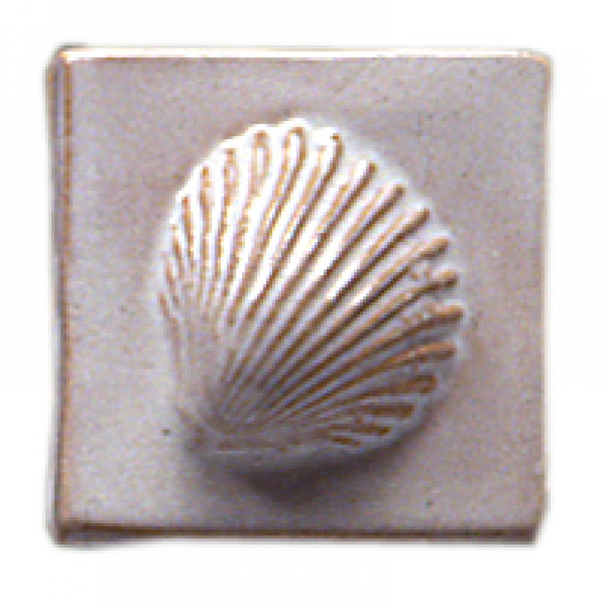 Conchiglia B.A. poco copr