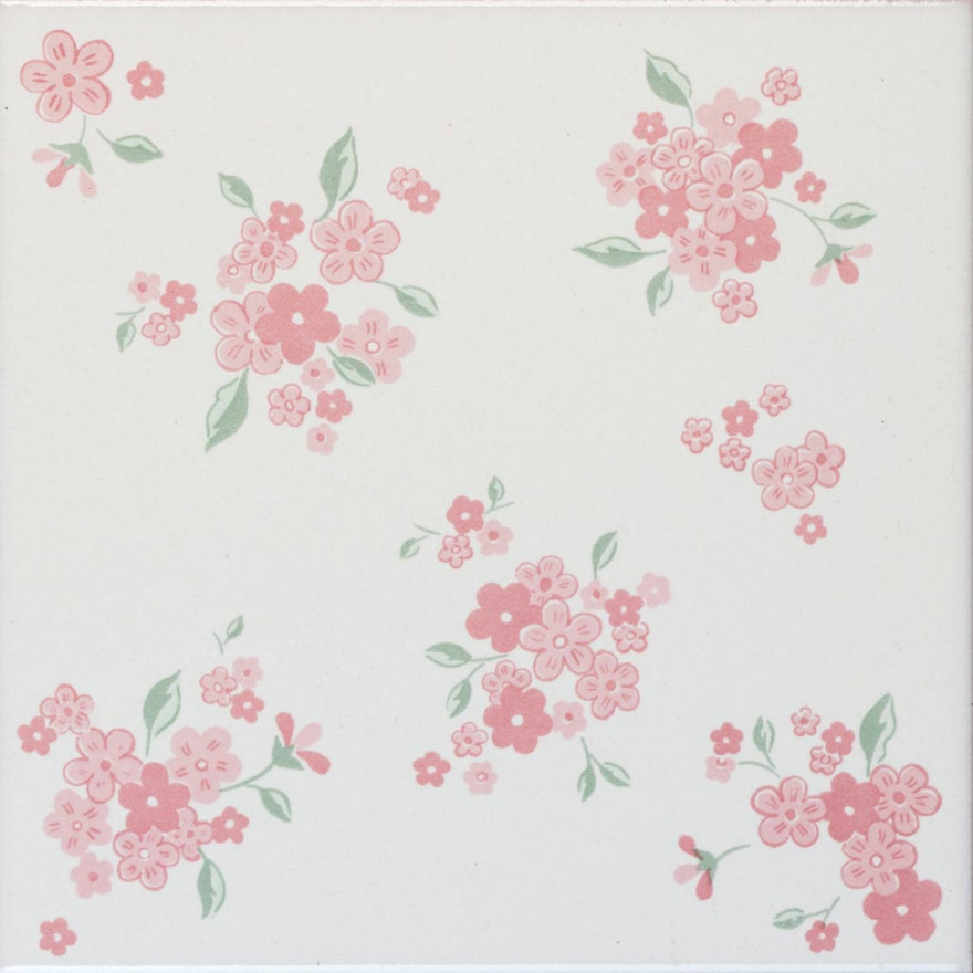 Myosotis III con bombato 