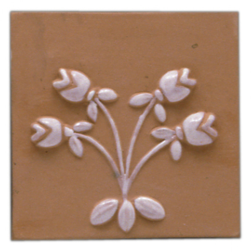 Tulipani cotto ril. B.A